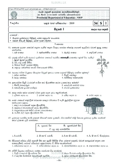 Grade 7 Health First Term 2019 North Western Province (SM) thumbnail